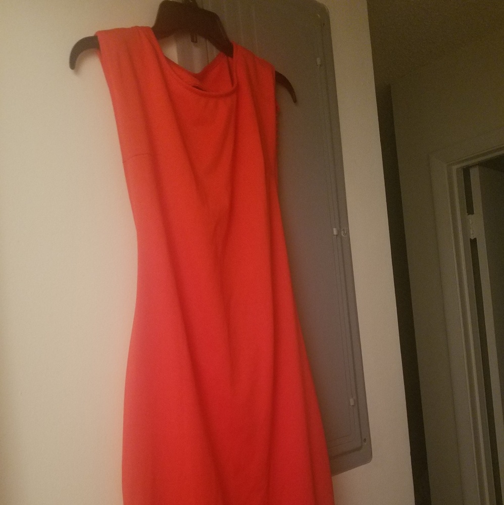 Clothes - Picture 5 of 6
